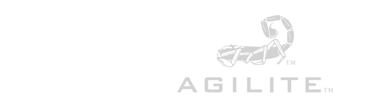 AGILITE